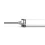BA AgriLux2 60W, IP69K, 3000K (El.nr: 3703475) (BA1301-ITL9-60W-3K-IP69K)