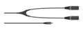 SENNHEISER CA 6042 XLR | Y cable 5-pin mini XLR to 2x 3 pin XLR